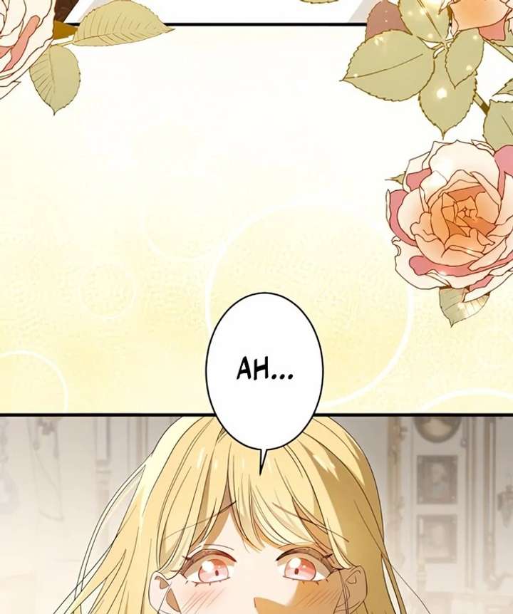 Don’t Obsess Over the Fake Princess! Chapter 1 page 17 - 