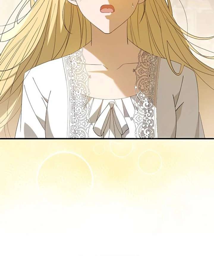 Don’t Obsess Over the Fake Princess! Chapter 1 page 18 - 
