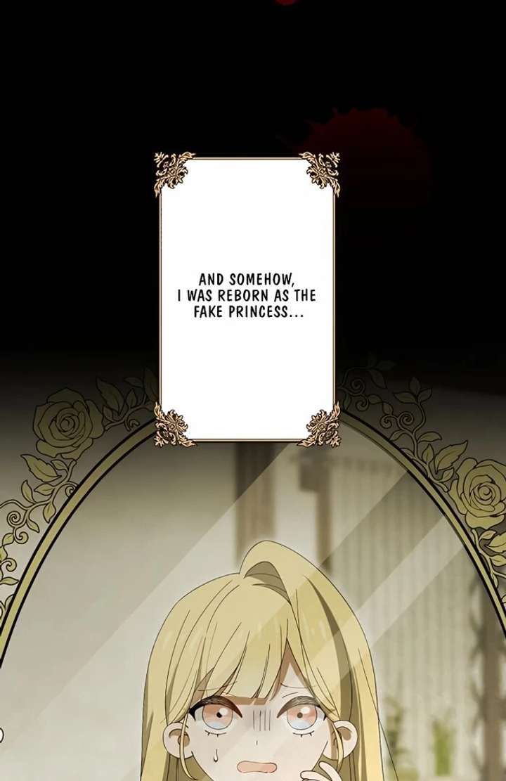Don’t Obsess Over the Fake Princess! Chapter 1 page 36 - 