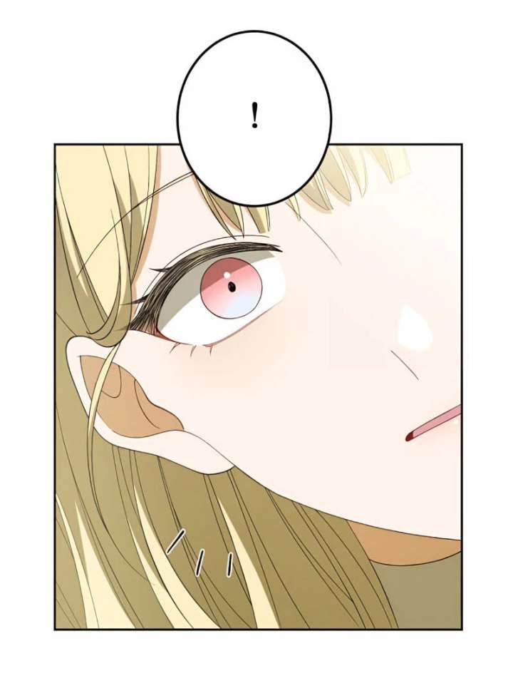 Don’t Obsess Over the Fake Princess! Chapter 12 page 34 - 