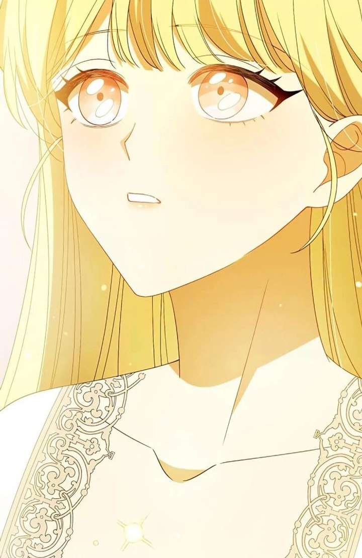 Don’t Obsess Over the Fake Princess! Chapter 13 page 108 - 