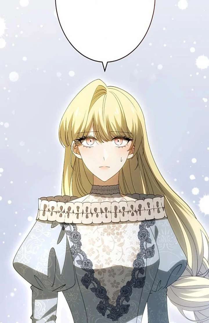 Don’t Obsess Over the Fake Princess! Chapter 13 page 15 - 