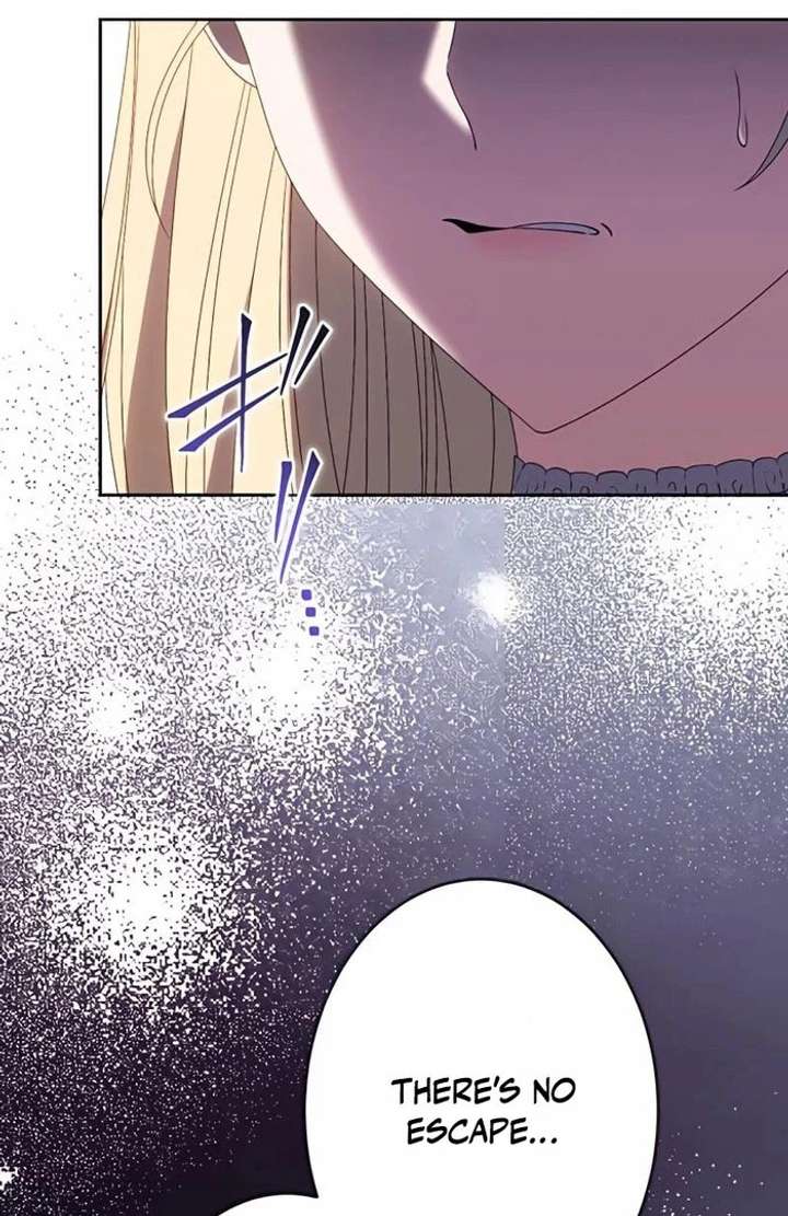 Don’t Obsess Over the Fake Princess! Chapter 13 page 46 - 