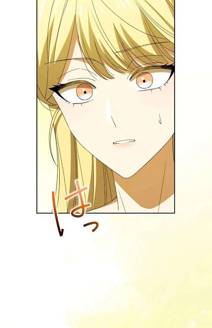 Don’t Obsess Over the Fake Princess! Chapter 13 page 64 - 