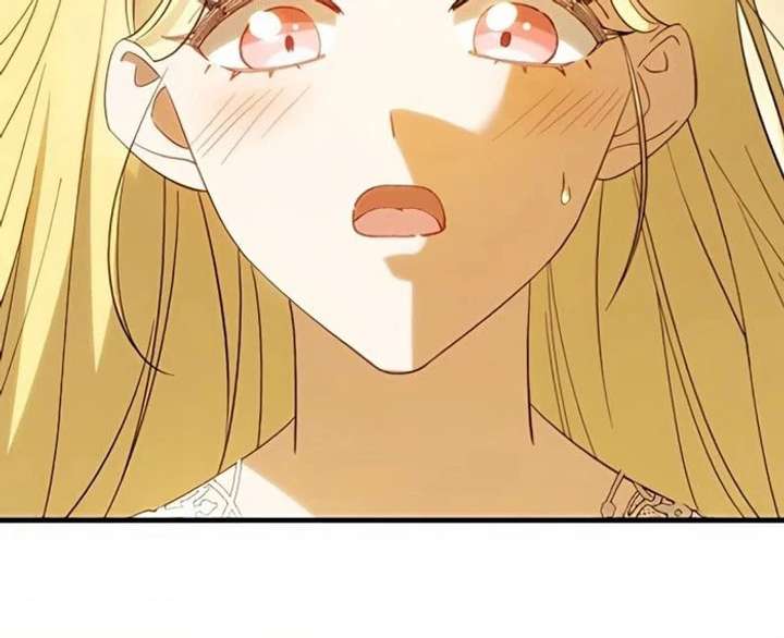 Don’t Obsess Over the Fake Princess! Chapter 13 page 67 - 