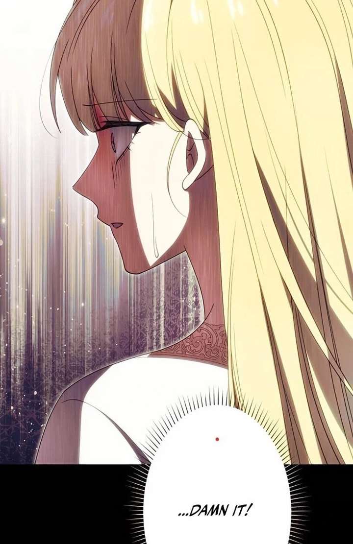 Don’t Obsess Over the Fake Princess! Chapter 13 page 84 - 