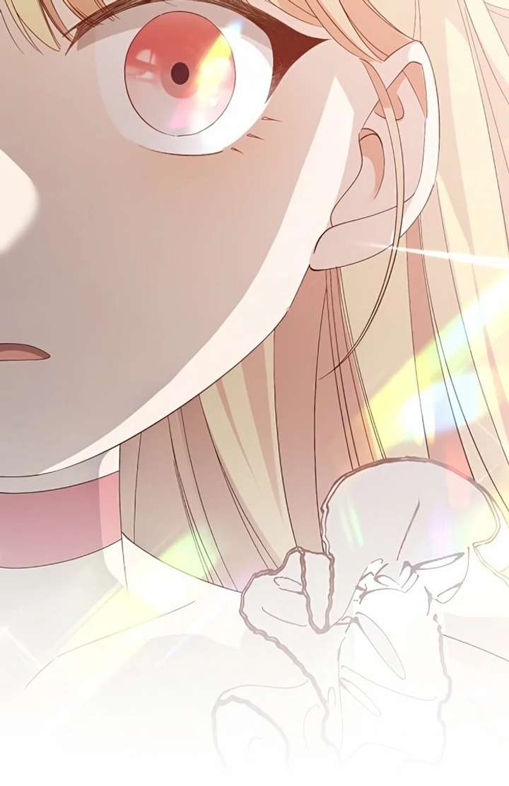 Don’t Obsess Over the Fake Princess! Chapter 2 page 116 - 