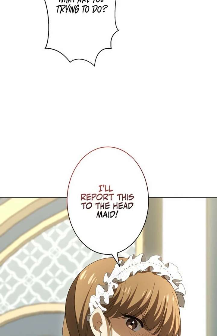 Don’t Obsess Over the Fake Princess! Chapter 2 page 13 - 