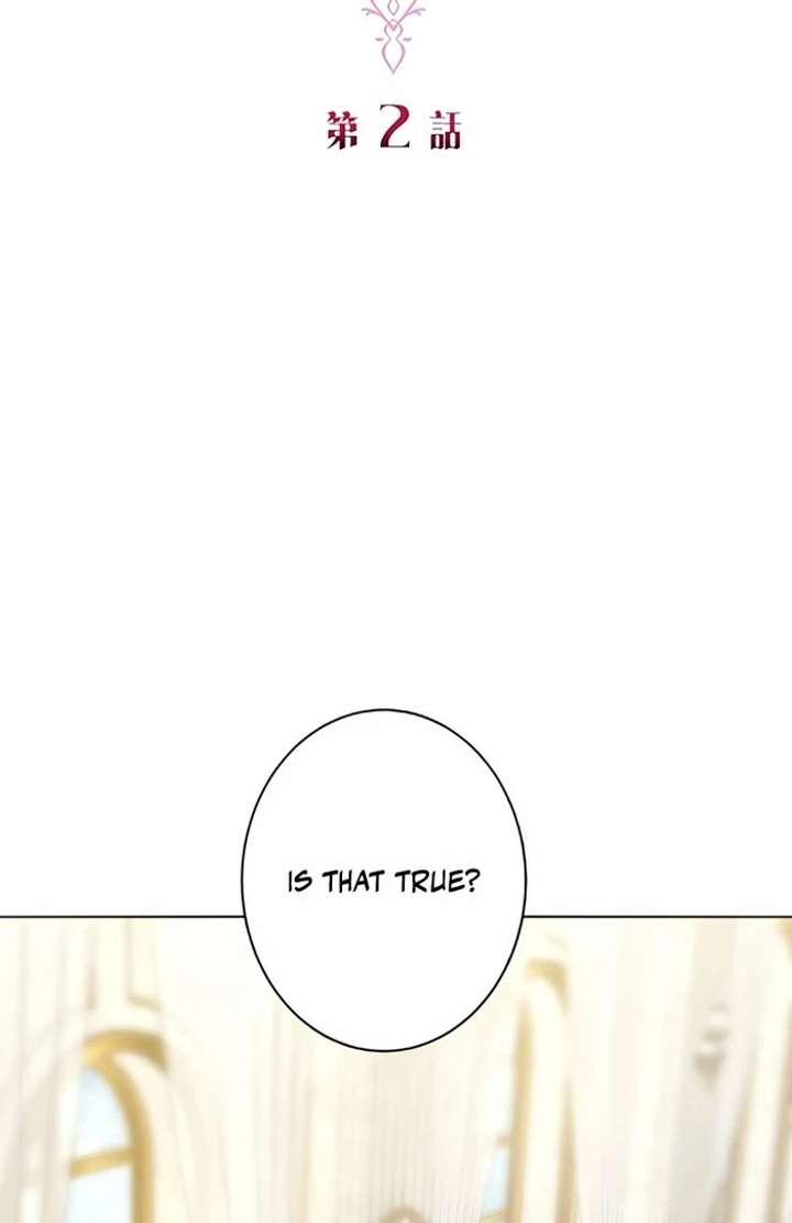 Don’t Obsess Over the Fake Princess! Chapter 2 page 29 - 