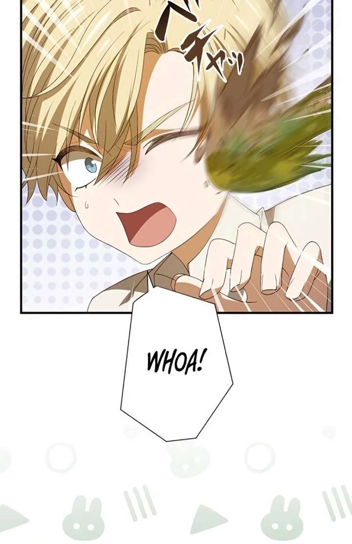 Don’t Obsess Over the Fake Princess! Chapter 3 page 44 - 