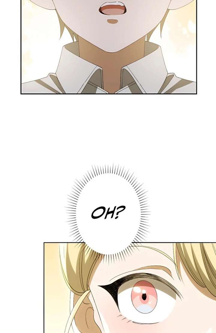 Don’t Obsess Over the Fake Princess! Chapter 3 page 74 - 