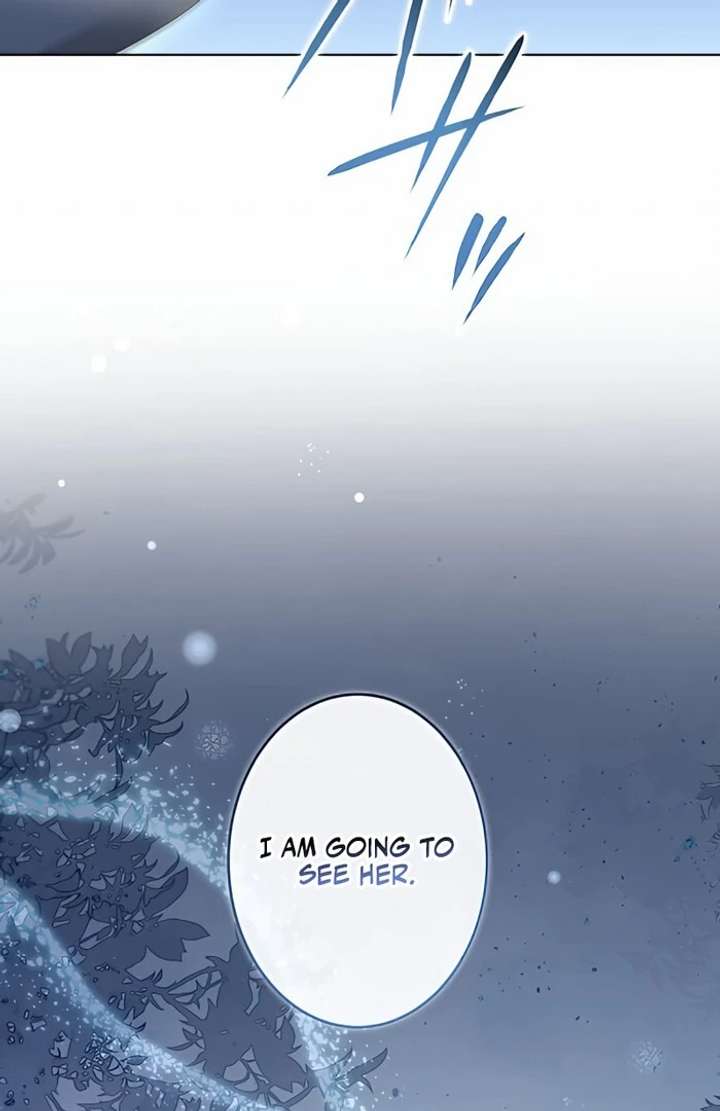 Don’t Obsess Over the Fake Princess! Chapter 7 page 111 - 
