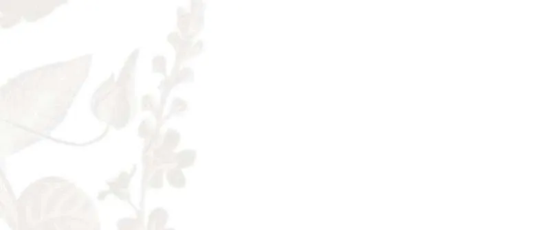 Don’t Pick Up What You’ve Thrown Away Chapter 111 page 29 - 