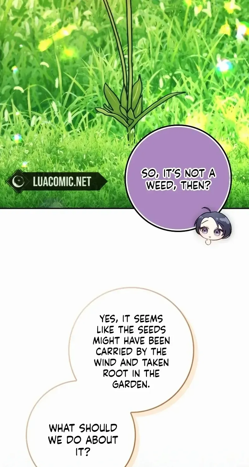 Don’t Pick Up What You’ve Thrown Away Chapter 96 page 23 - 