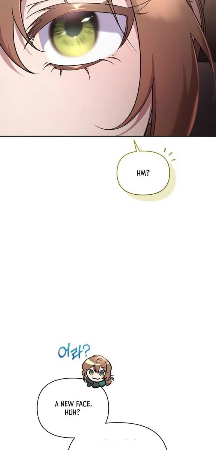 Don’t Worry, We Both Agreed to this Fraudulent Marriage Chapter 1 page 84 - 