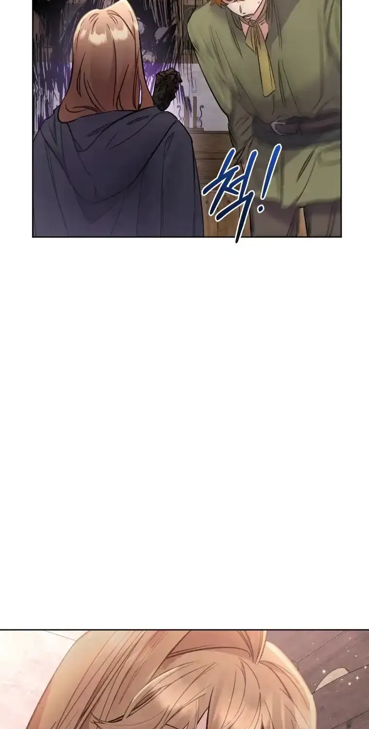 Don’t Worry, We Both Agreed to this Fraudulent Marriage Chapter 11.1 page 68 - 