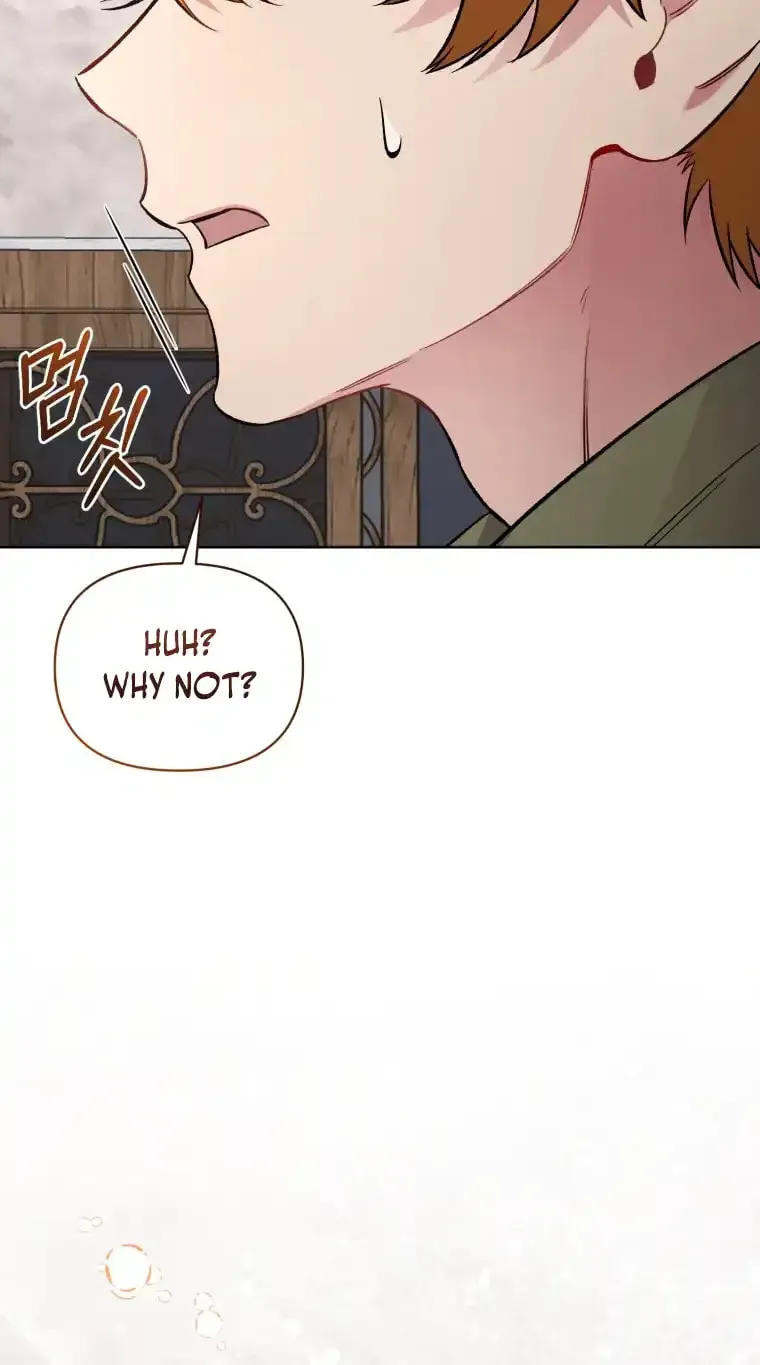 Don’t Worry, We Both Agreed to this Fraudulent Marriage Chapter 12.1 page 16 - 