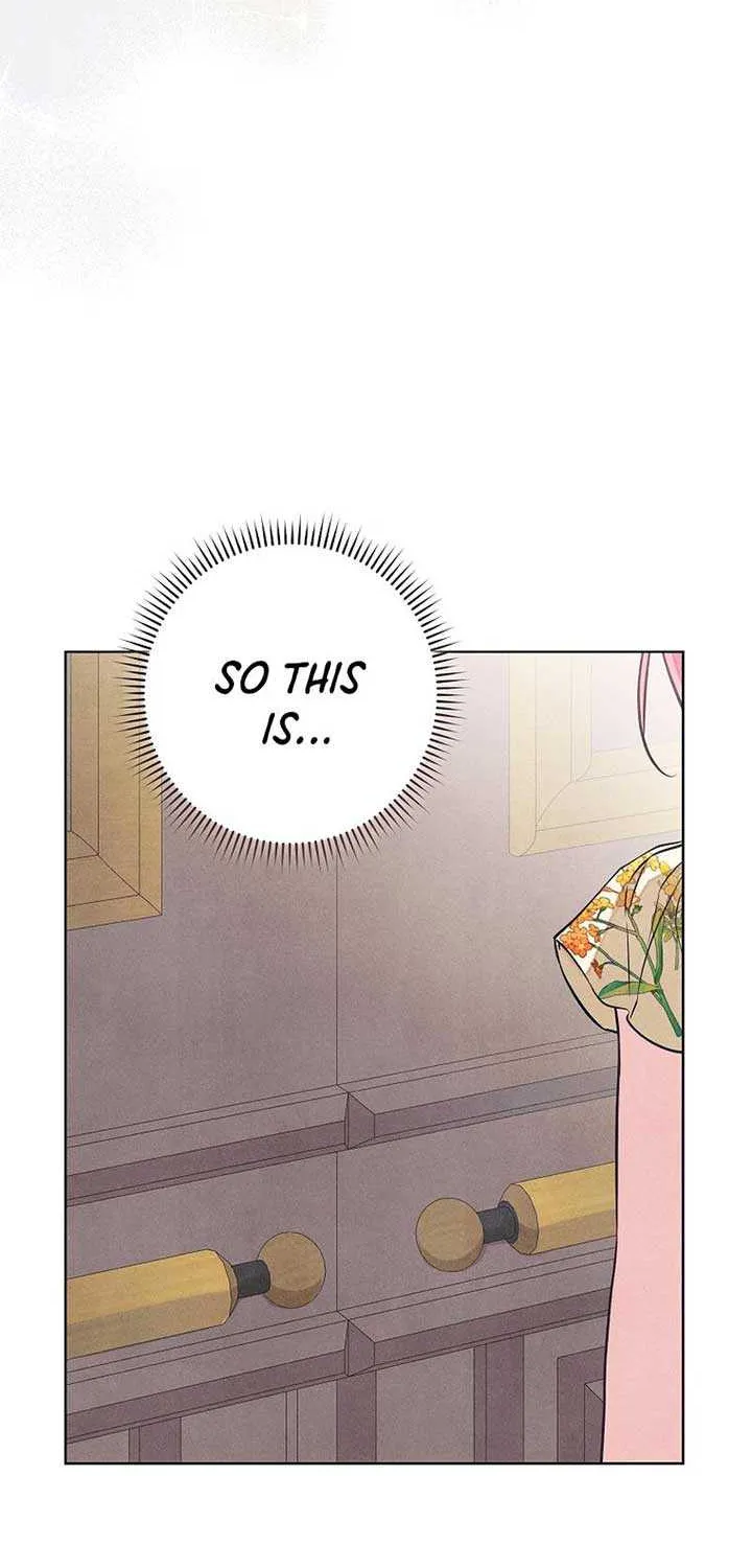 Don’t Worry, We Both Agreed to this Fraudulent Marriage Chapter 12 page 23 - 