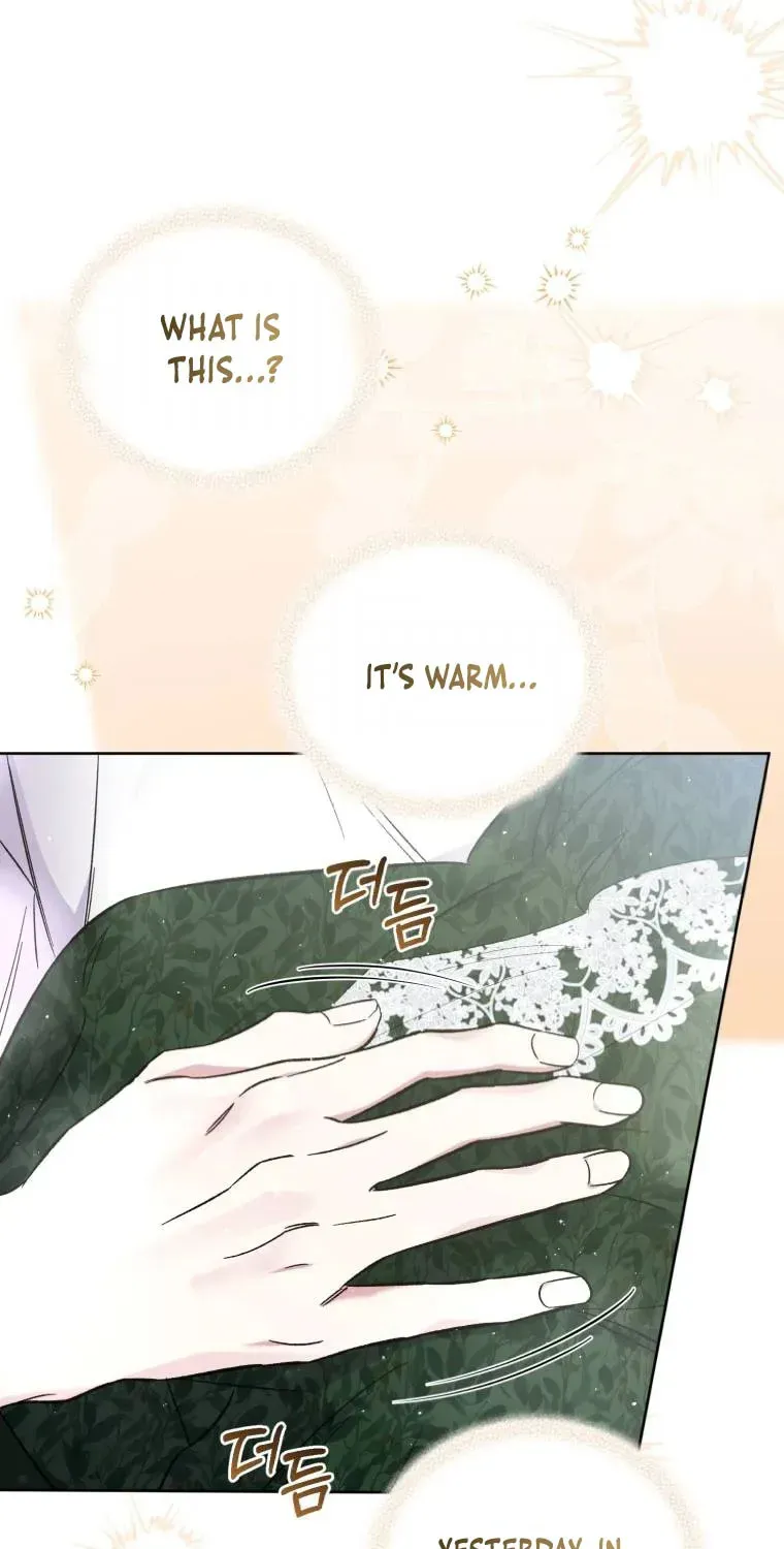 Don’t Worry, We Both Agreed to this Fraudulent Marriage Chapter 13.1 page 47 - 