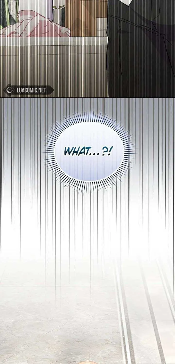 Don’t Worry, We Both Agreed to this Fraudulent Marriage Chapter 15 page 102 - 