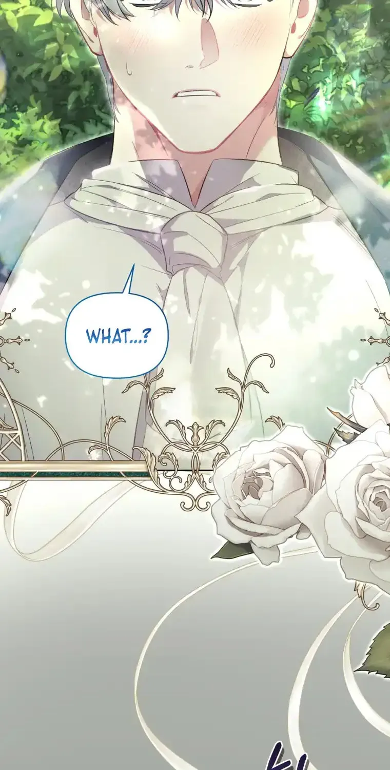 Don’t Worry, We Both Agreed to this Fraudulent Marriage Chapter 18.1 page 45 - 