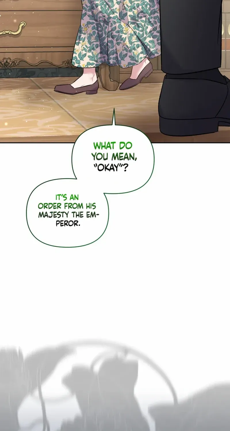 Don’t Worry, We Both Agreed to this Fraudulent Marriage Chapter 18 page 85 - 