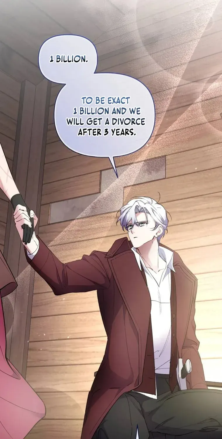 Don’t Worry, We Both Agreed to this Fraudulent Marriage Chapter 4.1 page 12 - 