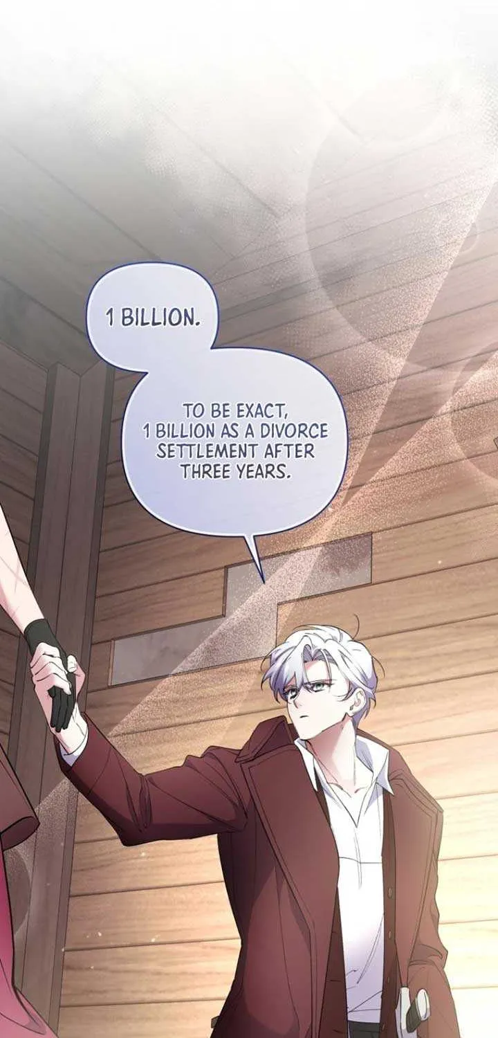 Don’t Worry, We Both Agreed to this Fraudulent Marriage Chapter 4 page 11 - 