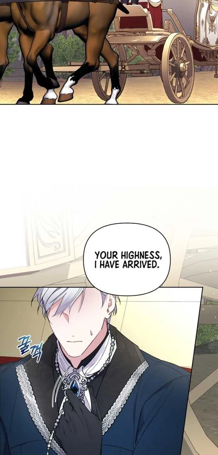 Don’t Worry, We Both Agreed to this Fraudulent Marriage Chapter 4 page 78 - 