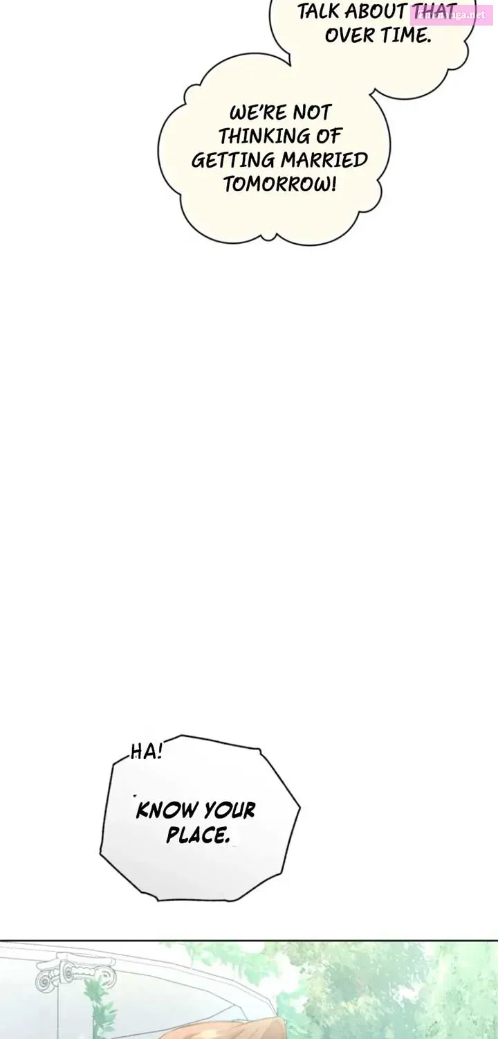 Don’t Worry, We Both Agreed to this Fraudulent Marriage Chapter 40.2 page 11 - 