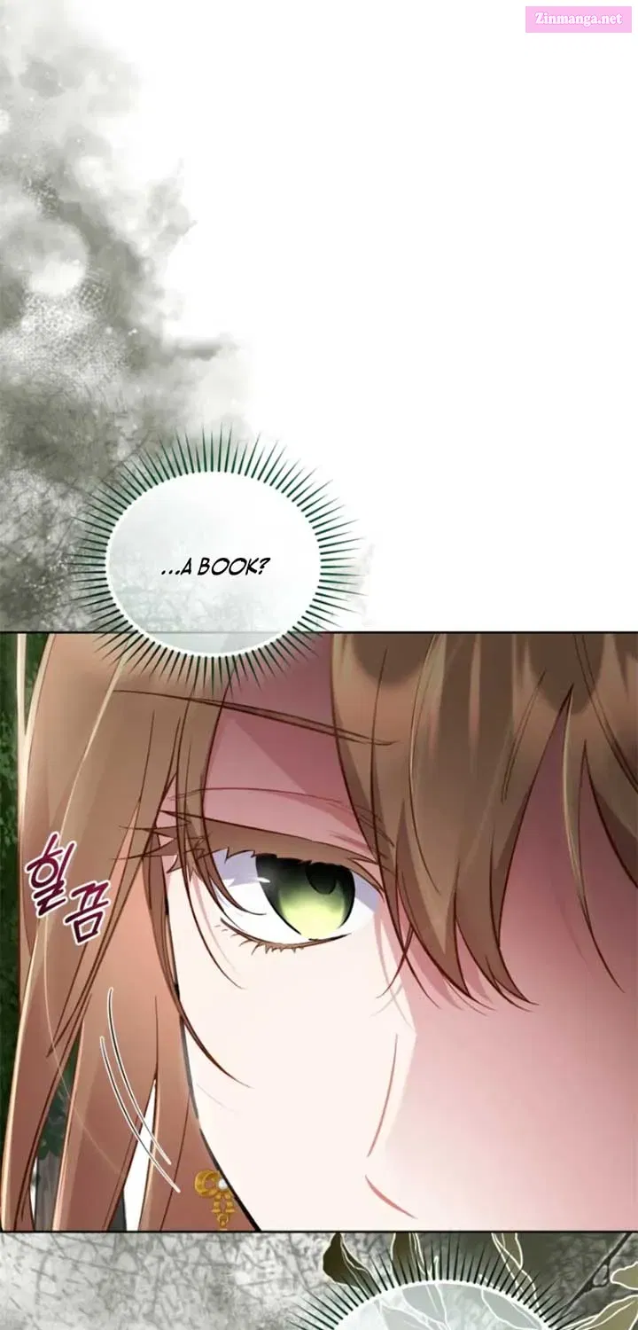 Don’t Worry, We Both Agreed to this Fraudulent Marriage Chapter 40.2 page 47 - 