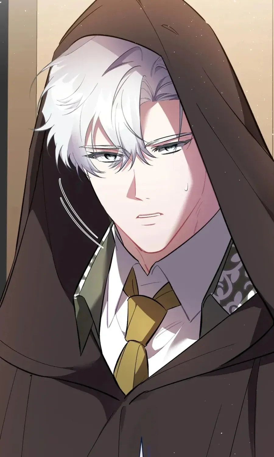 Don’t Worry, We Both Agreed to this Fraudulent Marriage Chapter 41.1 page 18 - 