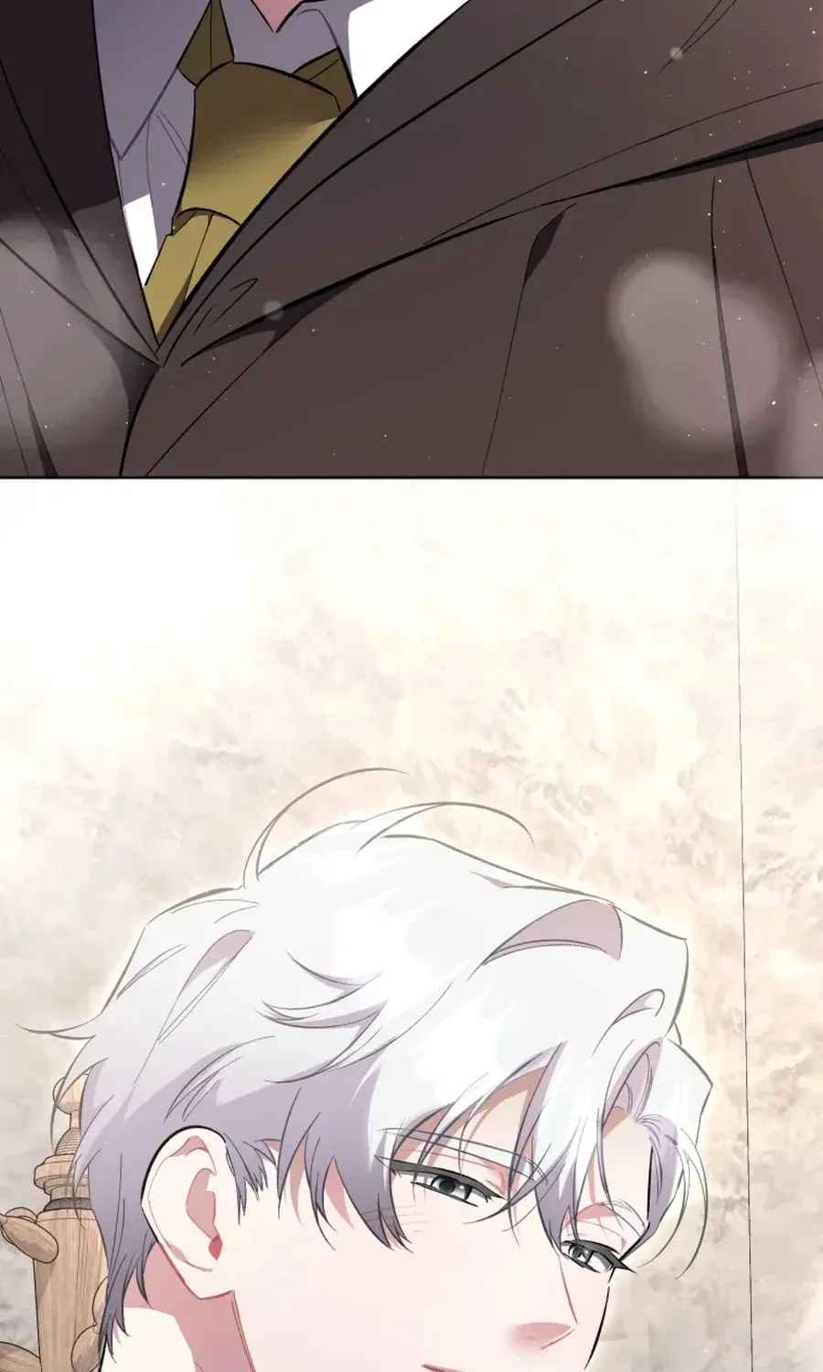 Don’t Worry, We Both Agreed to this Fraudulent Marriage Chapter 41.1 page 63 - 