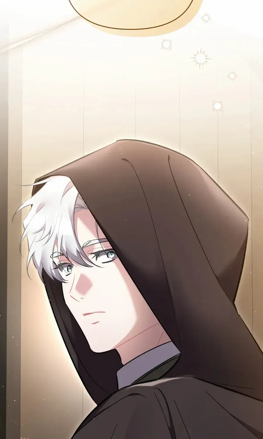 Don’t Worry, We Both Agreed to this Fraudulent Marriage Chapter 41 page 13 - 