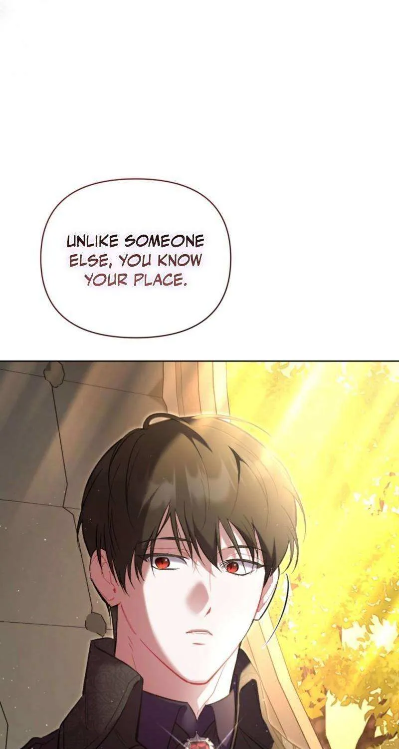 Don’t Worry, We Both Agreed to this Fraudulent Marriage Chapter 43 page 50 - 