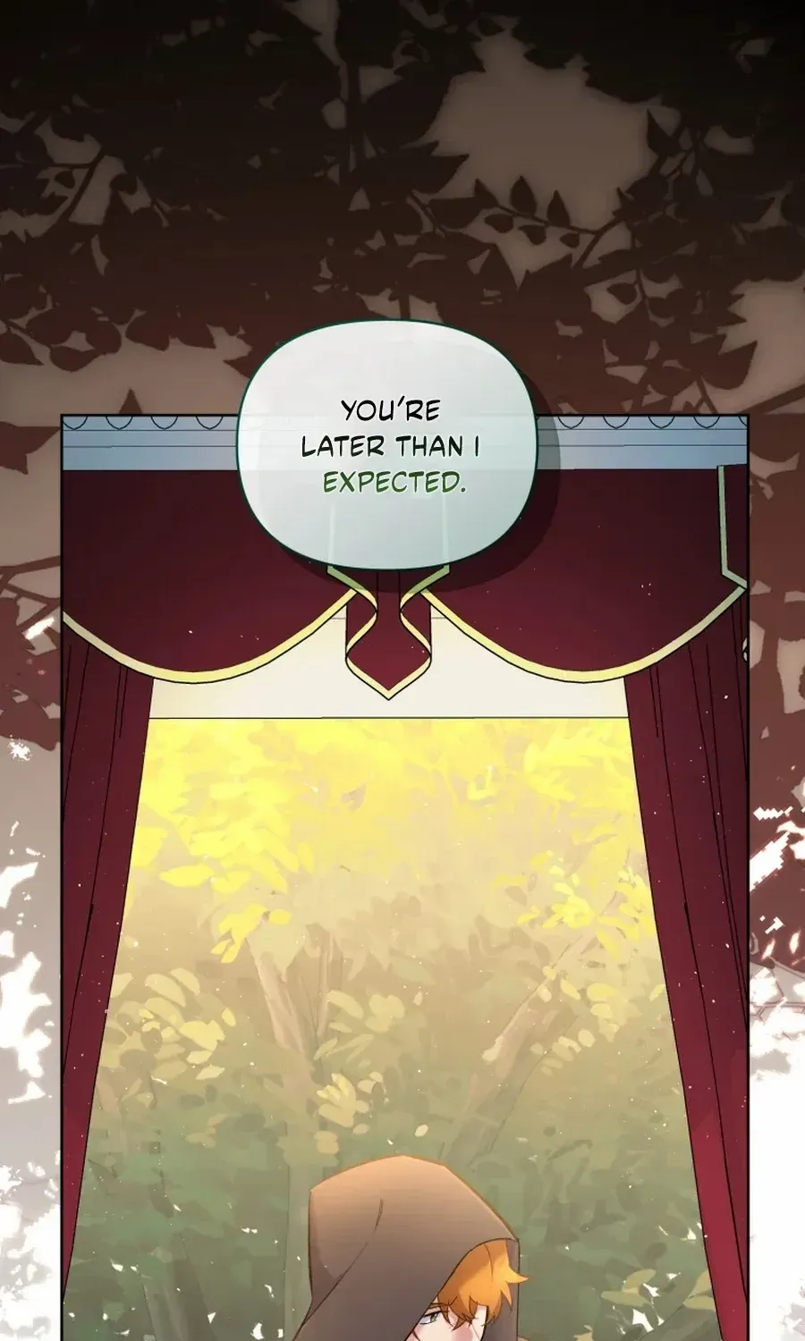 Don’t Worry, We Both Agreed to this Fraudulent Marriage Chapter 45 page 6 - 