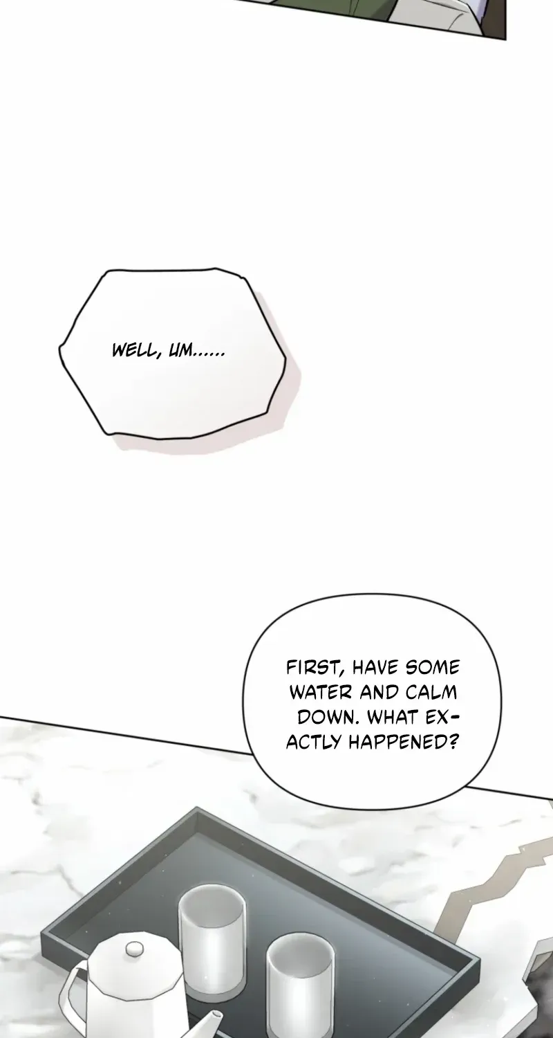Don’t Worry, We Both Agreed to this Fraudulent Marriage Chapter 47 page 45 - 
