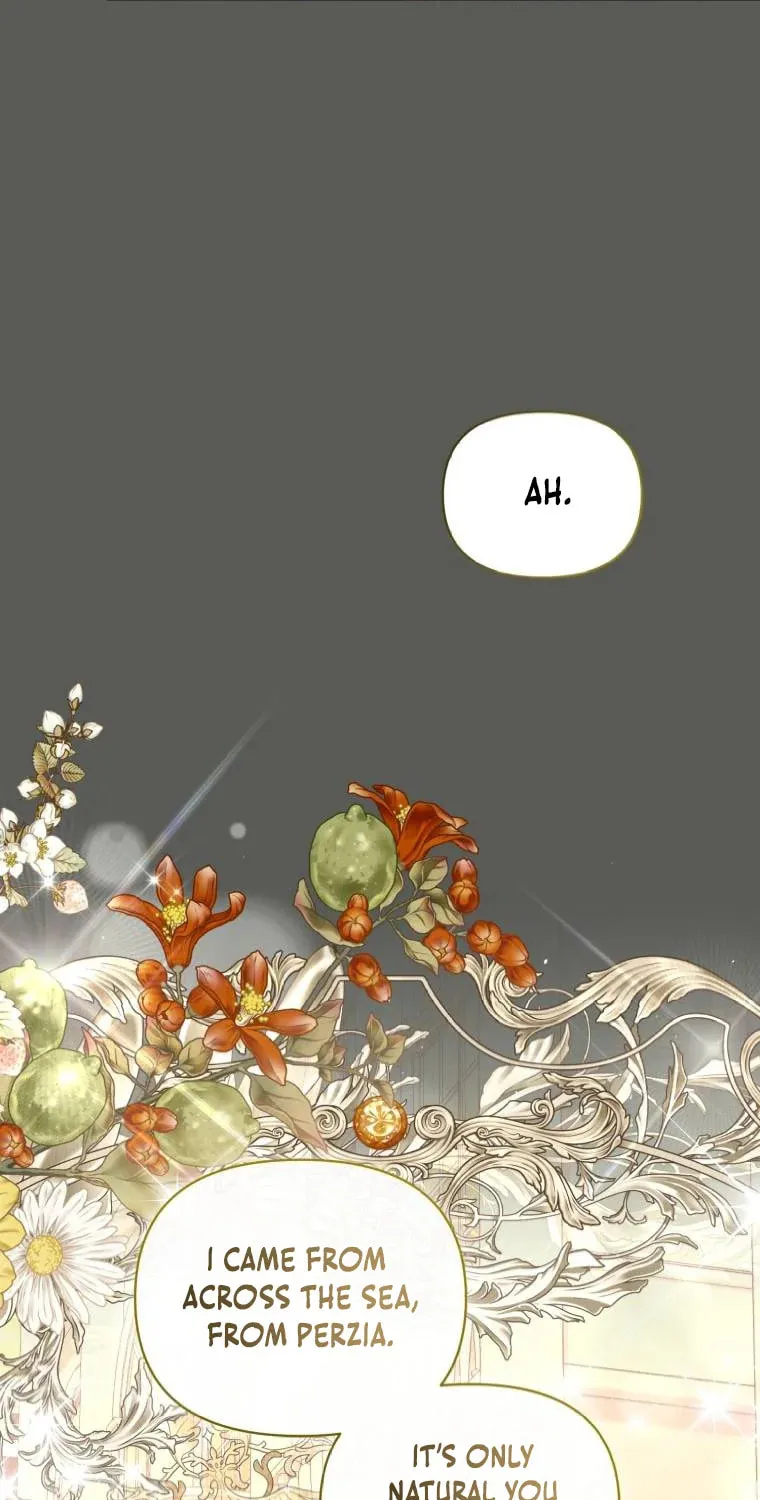 Don’t Worry, We Both Agreed to this Fraudulent Marriage Chapter 50.2 page 73 - 
