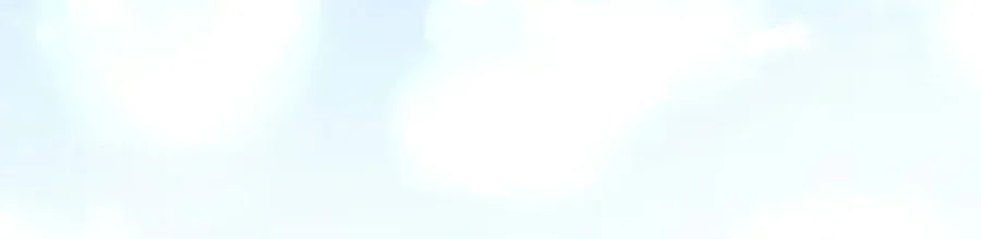 Don’t Worry, We Both Agreed to this Fraudulent Marriage Chapter 50.3 page 13 - 