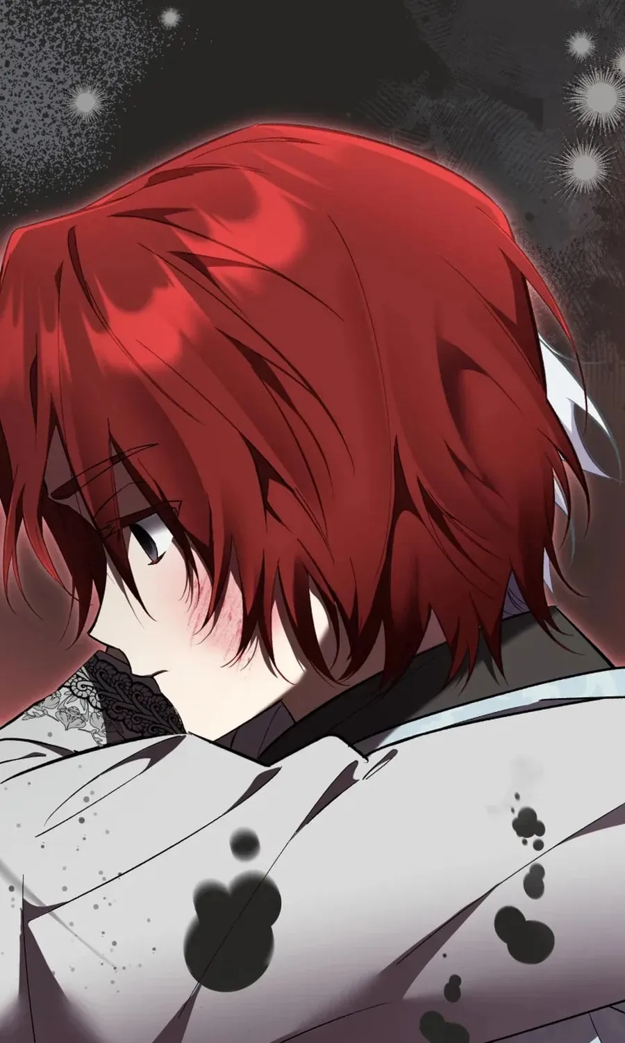 Don’t Worry, We Both Agreed to this Fraudulent Marriage Chapter 50.3 page 27 - 