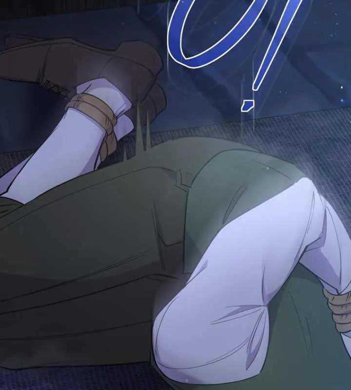 Don’t Worry, We Both Agreed to this Fraudulent Marriage Chapter 6 page 66 - 