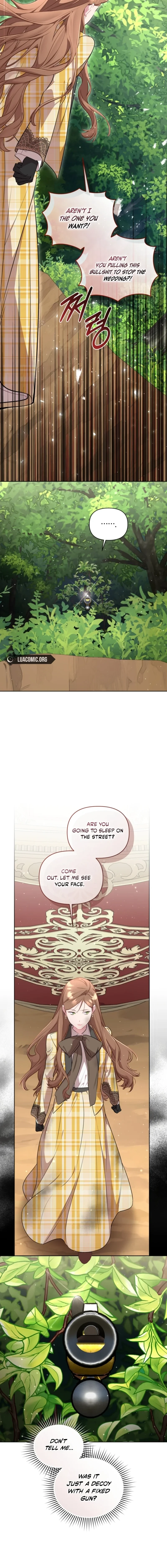 Don’t Worry, We Both Agreed to this Fraudulent Marriage Chapter 69 page 17 - 