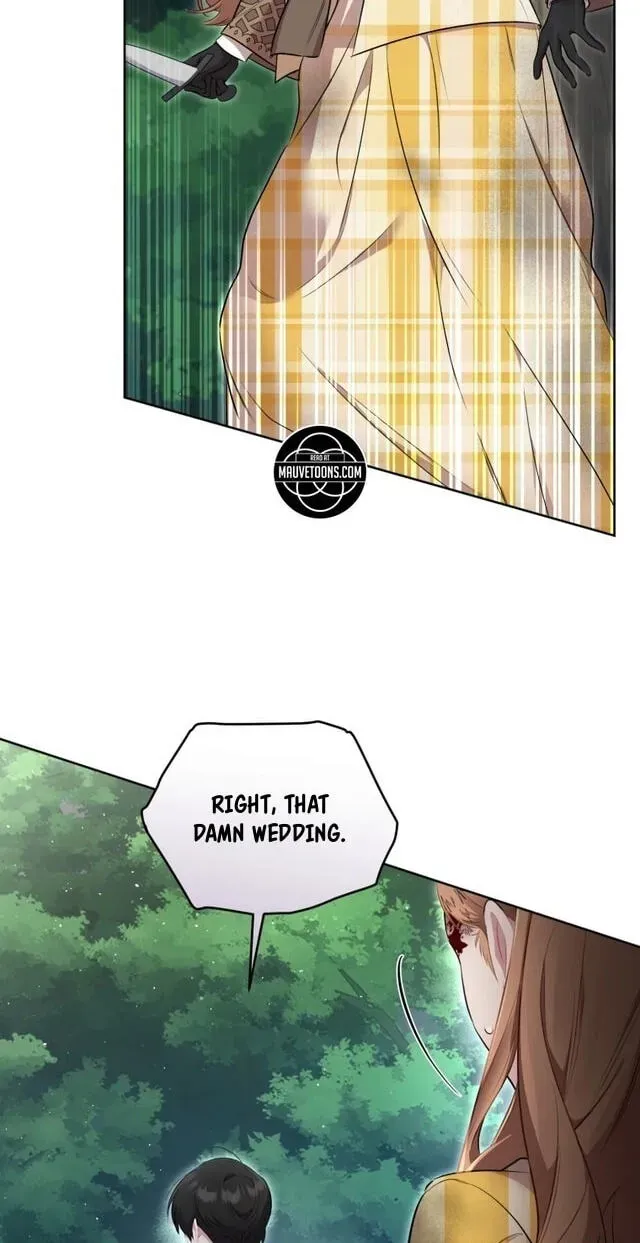 Don’t Worry, We Both Agreed to this Fraudulent Marriage Chapter 71 page 26 - 