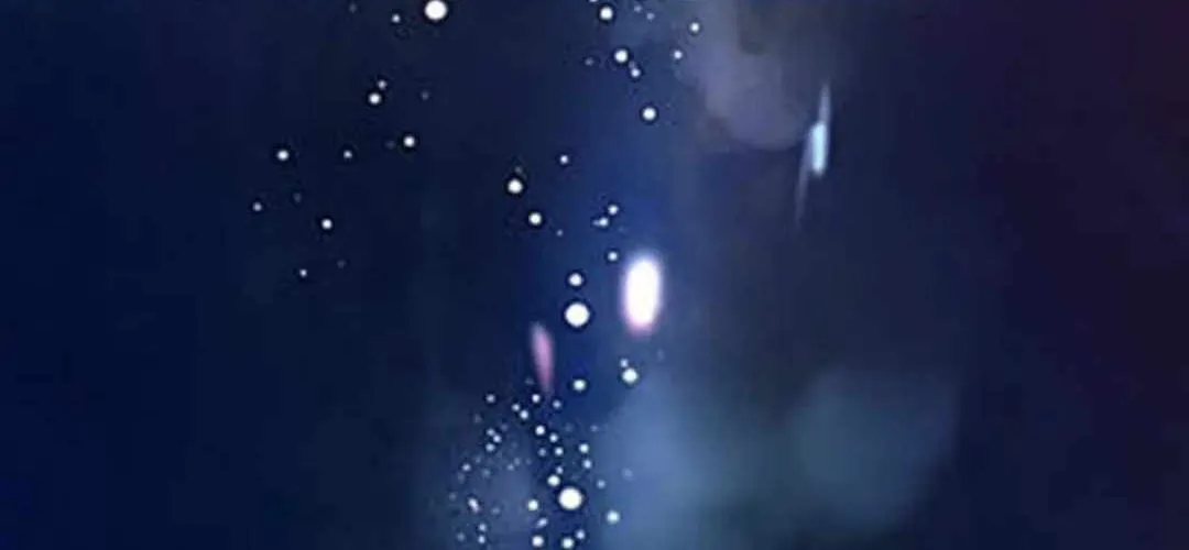 Doomsday for All: Me, Virus Monarch Chapter 62 page 21 - 