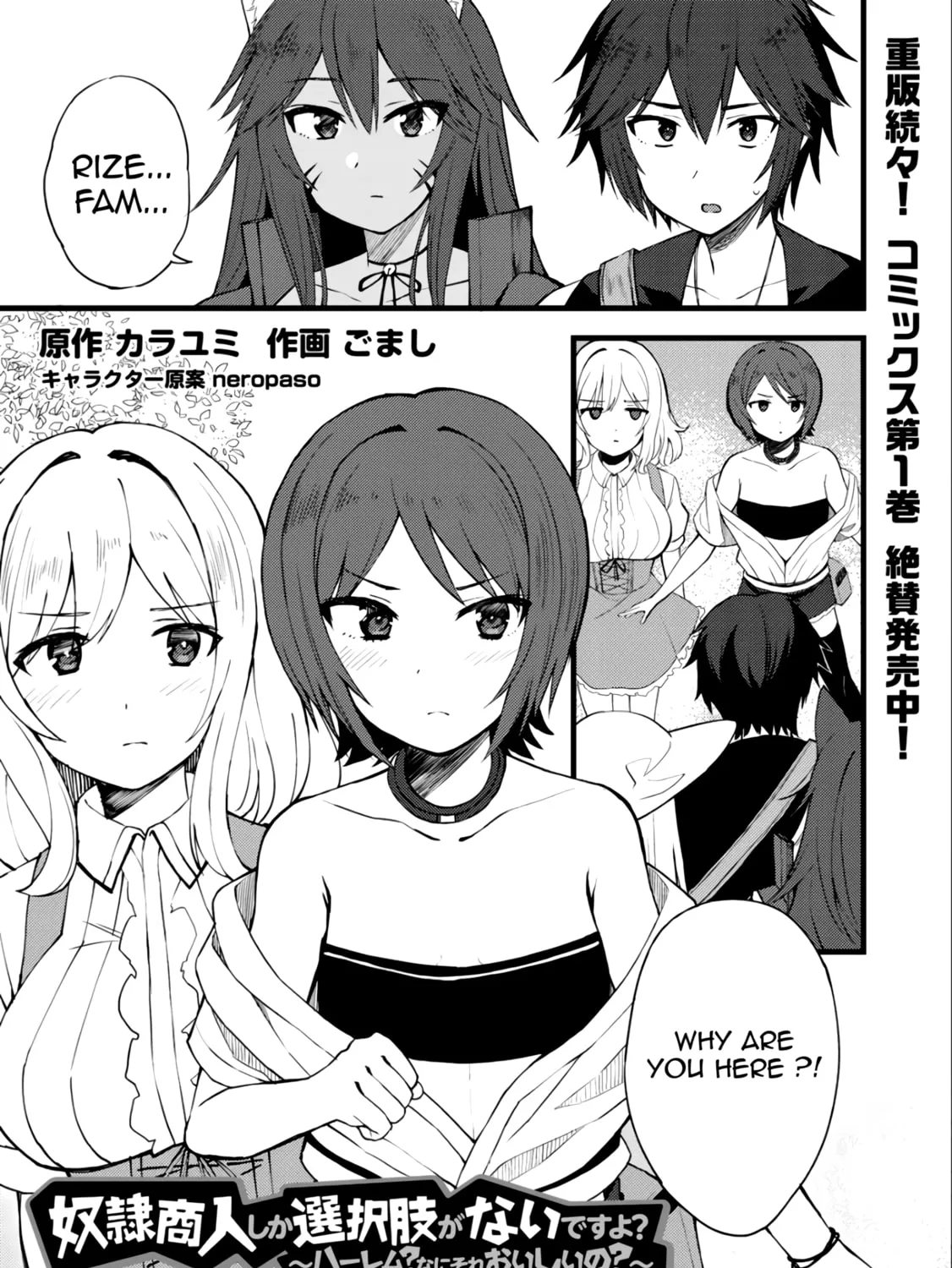 Dorei Shounin shika Sentakushi ga Nai desu yo? Harem? Nani Sore Oishii no? Chapter 10 page 3 - 