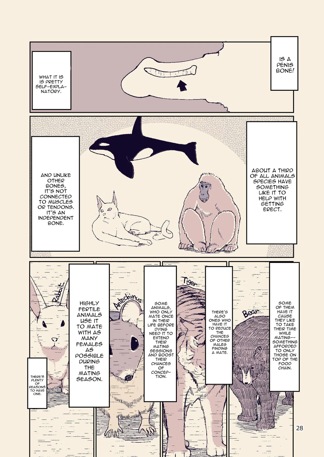 Dosukebe Elf no Ishukan Nikki Chapter 8 page 28 - 