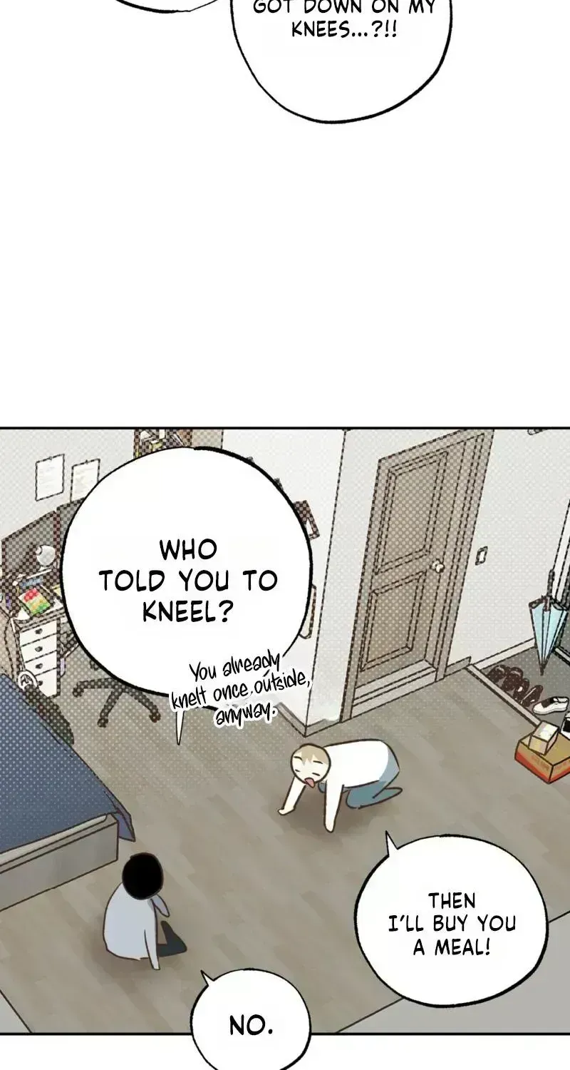 Double date Chapter 1.6 page 69 - 