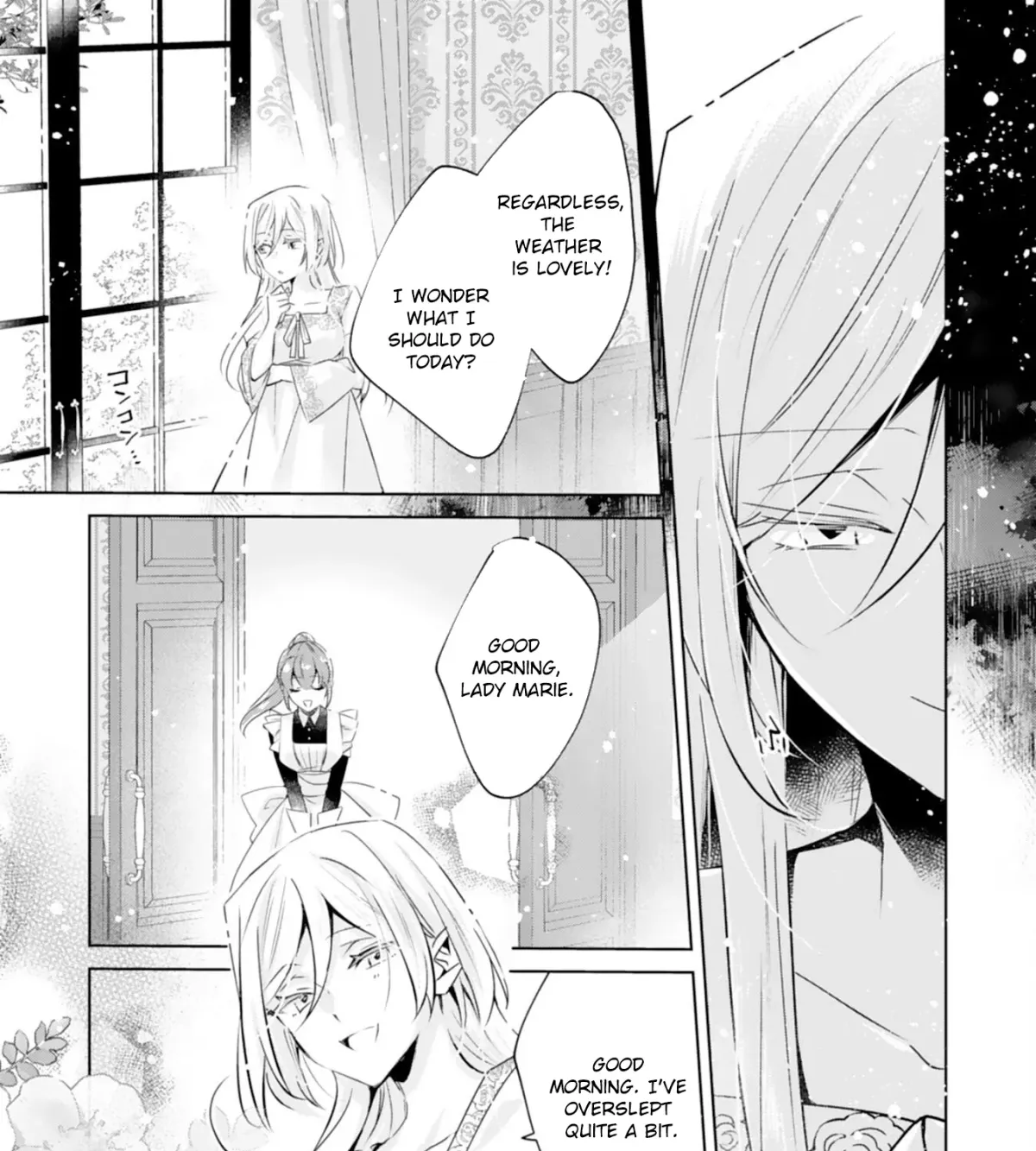 Doumo, Uwasa no Akujodegozaimasu Seijo no Chikara wa Sashiagerunode, Watashi wa Ohima Choudai Shimasu Chapter 2 page 17 - 