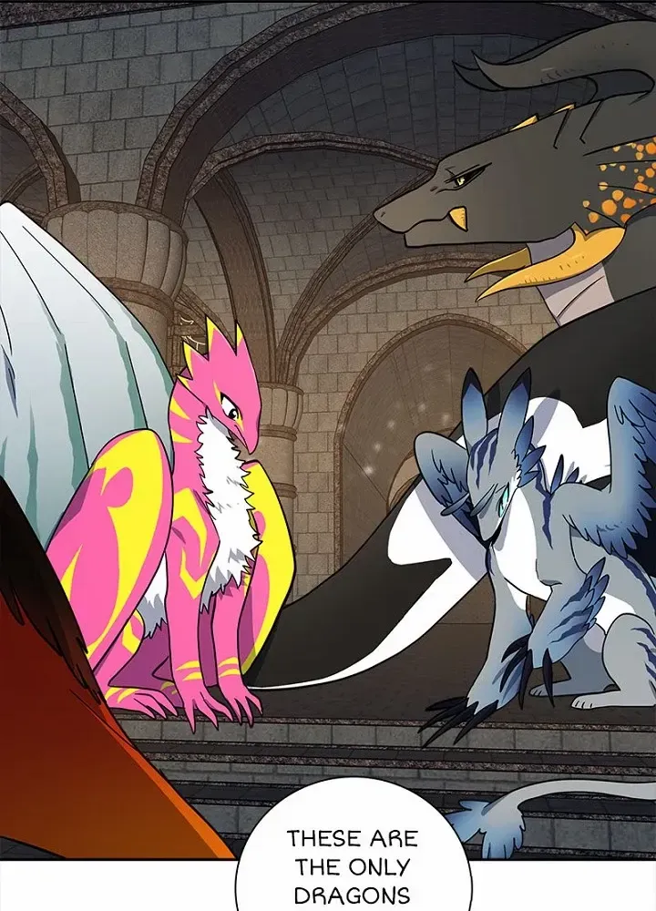 Dracorun Chapter 56 page 12 - 