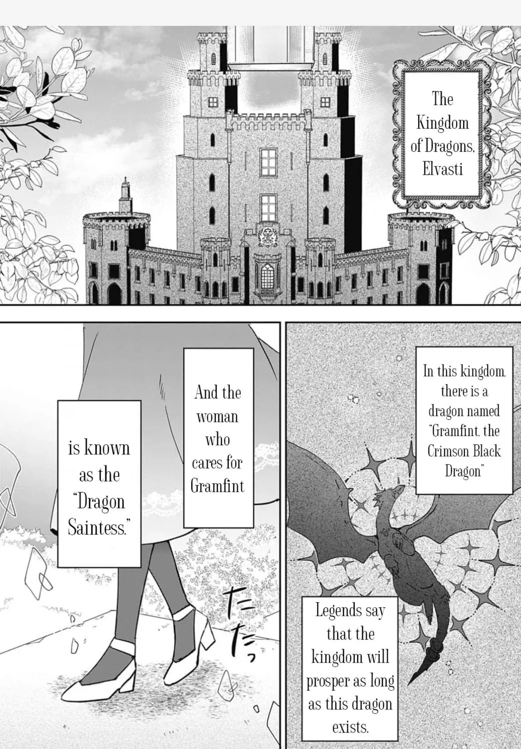 Dragon priestess in the birdcage Chapter 1 page 10 - 